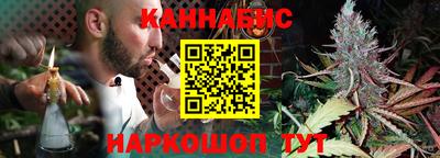 дурь Кудрово